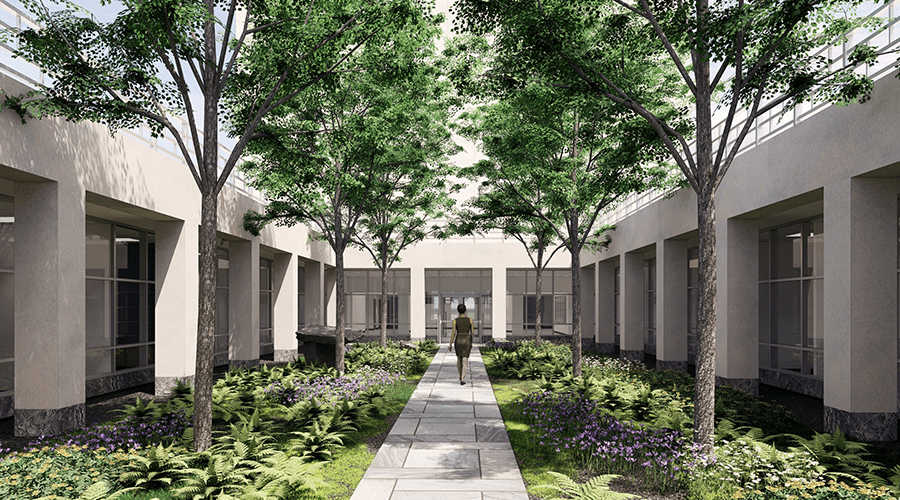 Lush courtyard showcasing a pathway lined with ferns and trees, leading to a modern building entrance, emphasizing serene architectural design.