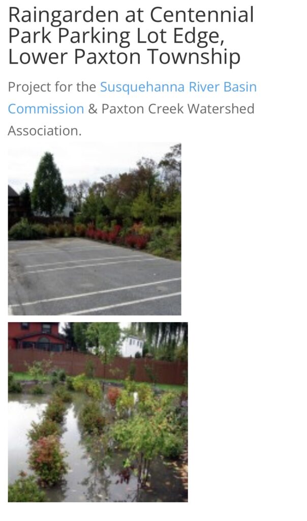 Raingarden at Centennial Park's parking lot edge features colorful vegetation among flooded areas, highlighting stormwater management efforts.
