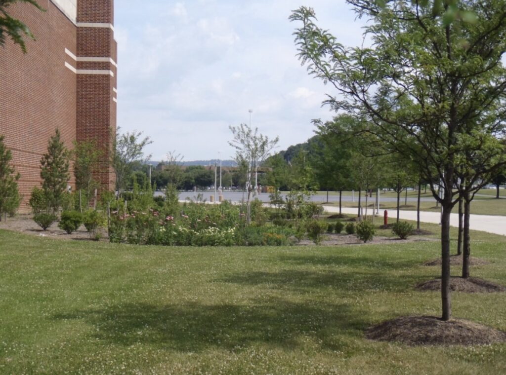 Lush landscaped area adjacent to a brick building, featuring trees, shrubs, and flowering plants against a clear sky backdrop.