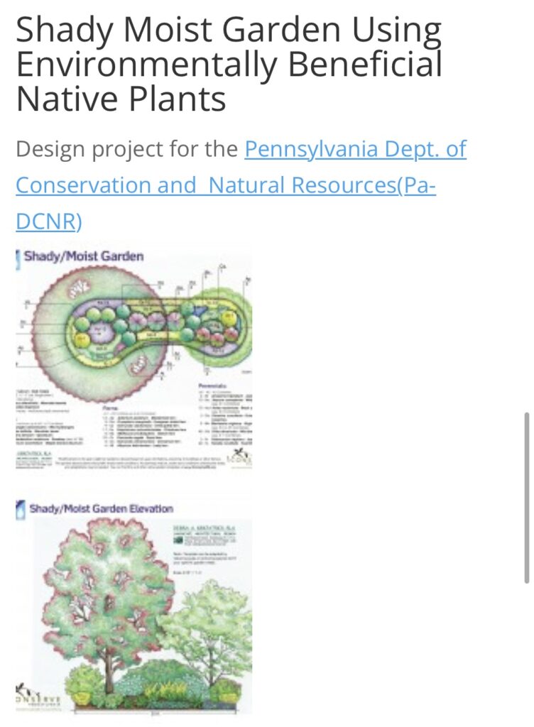 Design plans for a Shady Moist Garden featuring native plants, showcasing layout and elevation details for environmentally sustainable landscaping.