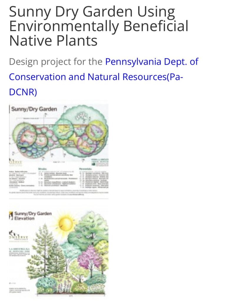 Landscape design plans for a Sunny Dry Garden featuring environmentally beneficial native plants, created for the Pennsylvania DCNR.